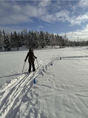 en person som står på ski på snøen
